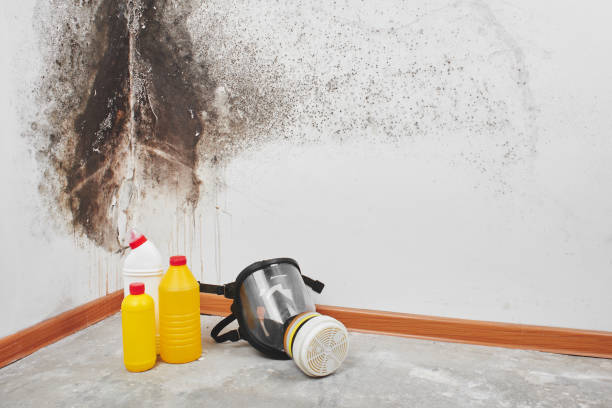 Best Mold Testing and Inspection Services in Guthrie, OK