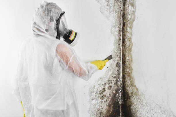 Best Crawl Space Mold Remediation in Guthrie, OK