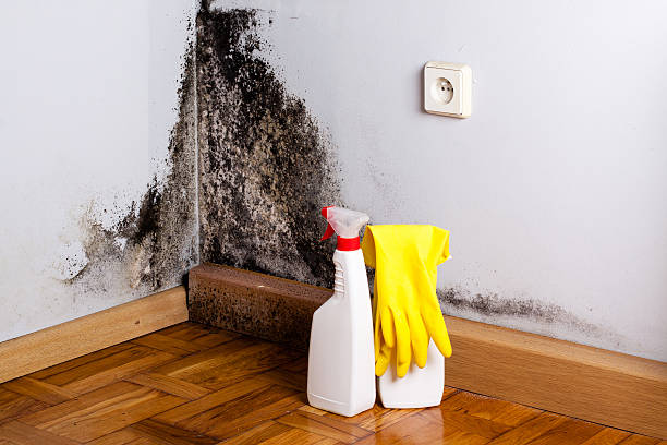 Best HVAC Mold Remediation in Guthrie, OK